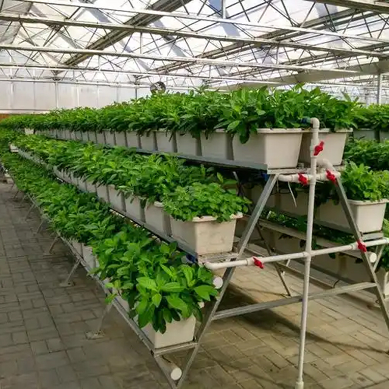 玉溪市植物工厂玻璃大棚 - 方案