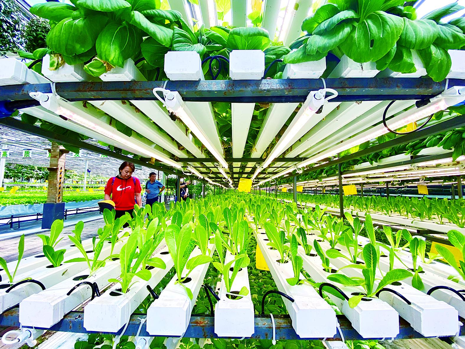 玉溪市苗床种植槽 - 厂家
